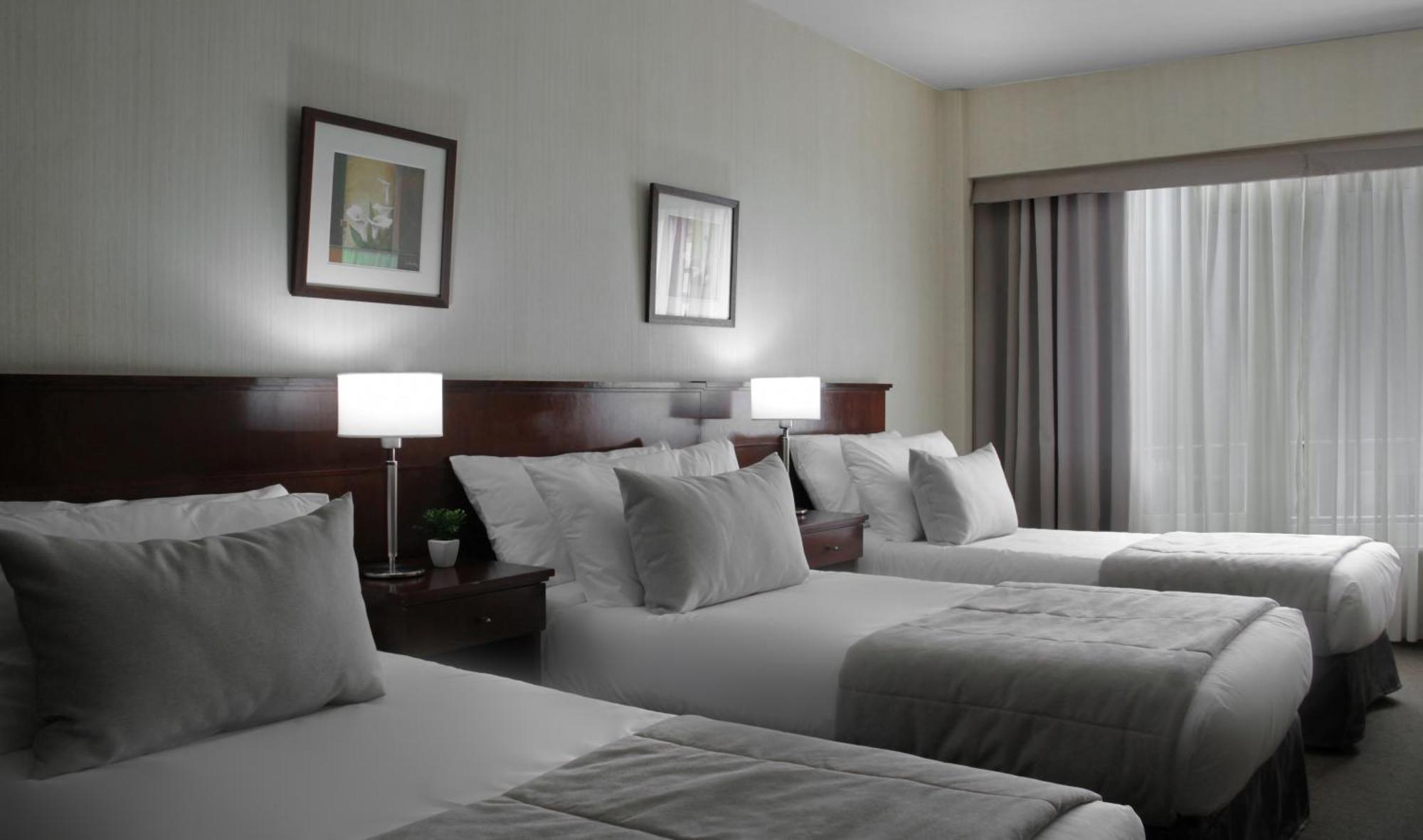 Superior Triple Room,1220356144:JPEG